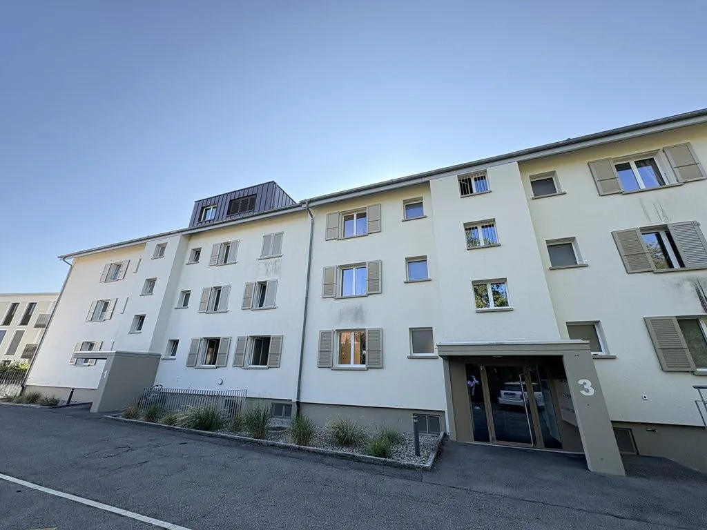 Apartment seeks single!