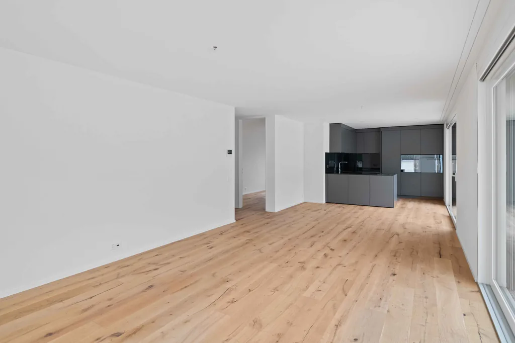 EXCLUSIVE ATTIC APARTMENT IN BADEN - ONLY 30 MINUTES TO HB-ZURICH