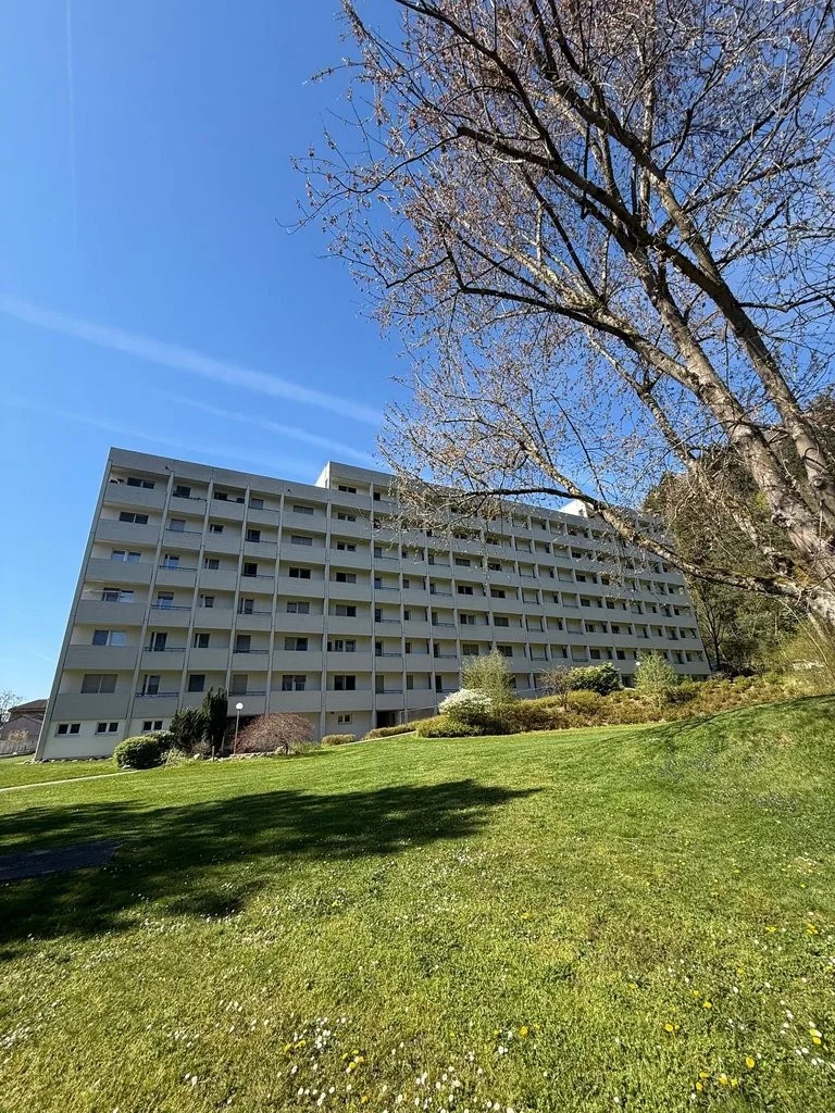 Comfortable 2.5 room apartment in Brugg