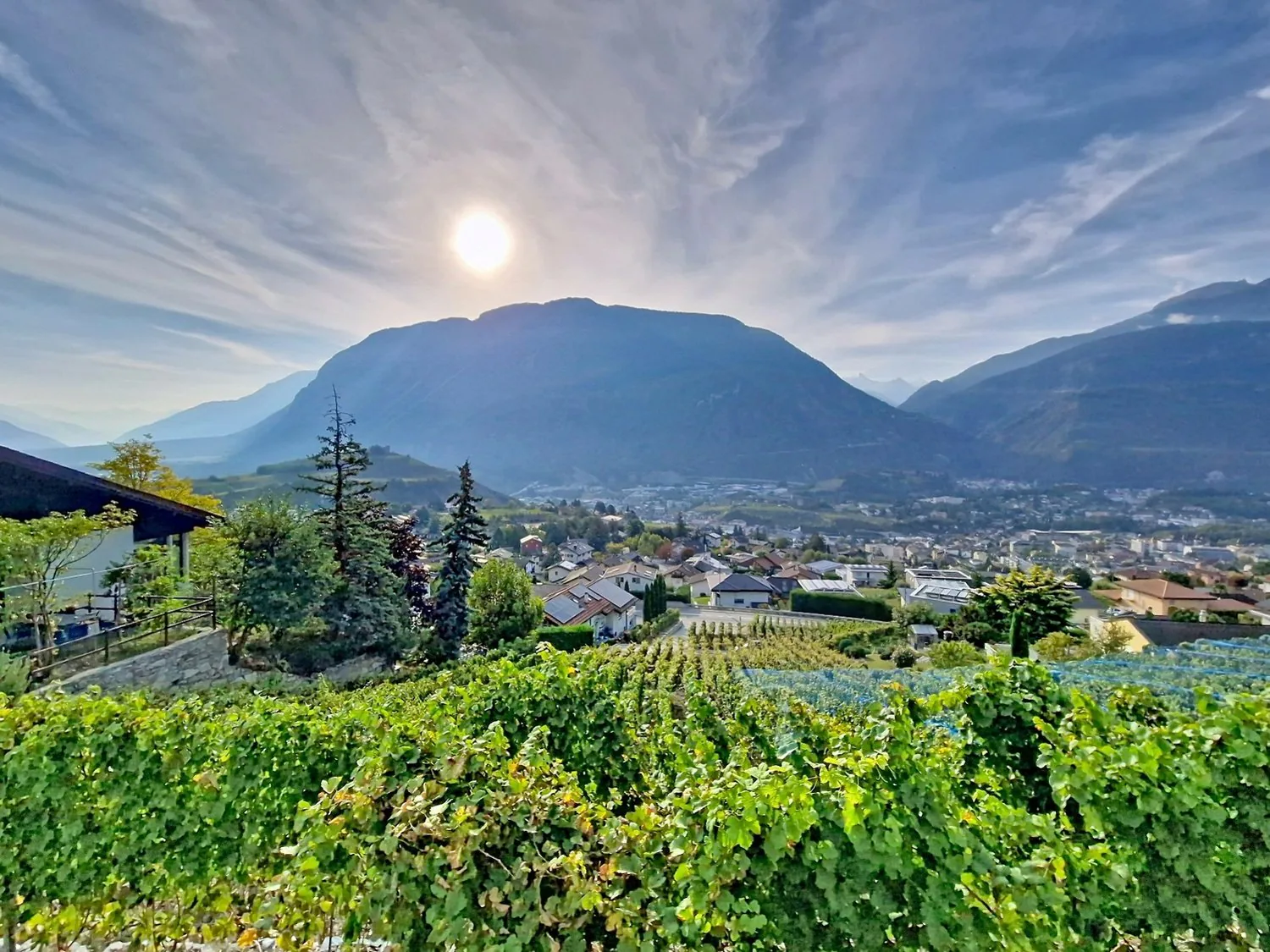 Veyras, building plot of 588 m2 with IBUS of 0.5 and a magnificent view of the Valais Alps