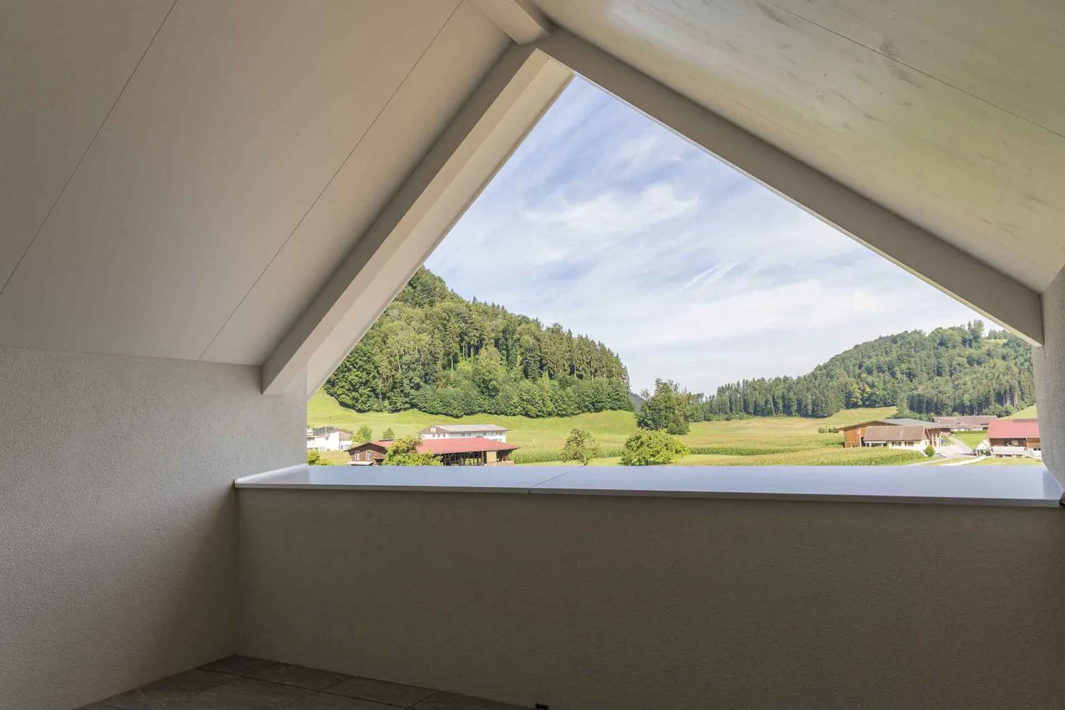 Grosszügige Neubau-Dachwohnung mit Weitblick und Natur