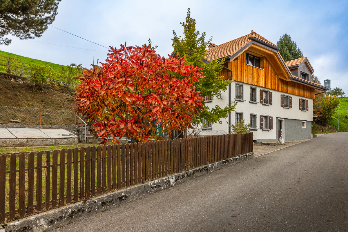 Traumhaus in der landwirtschaftlichen Zone