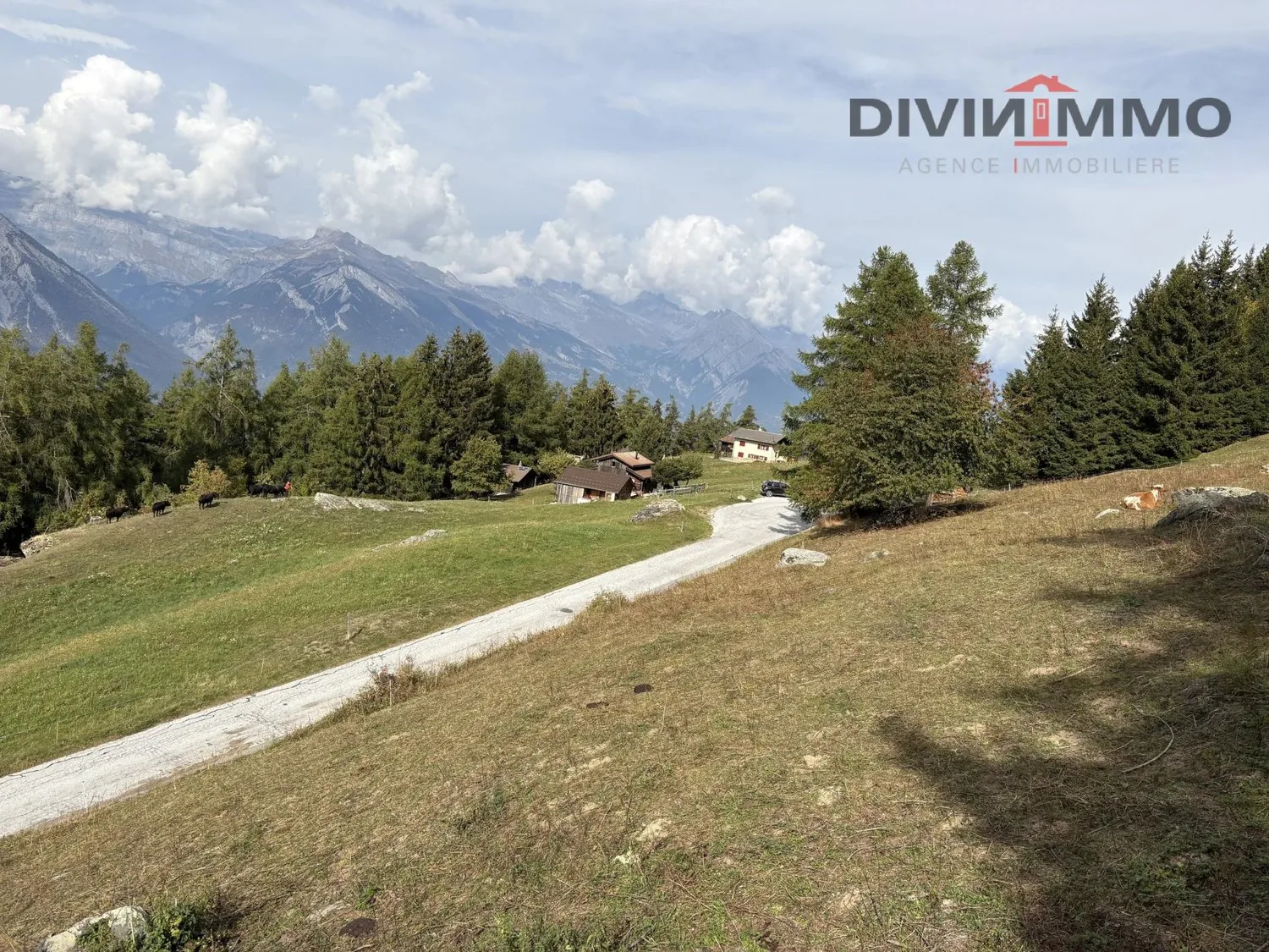 Prächtiges Grundstück vor den Toren von Haute-Nendaz