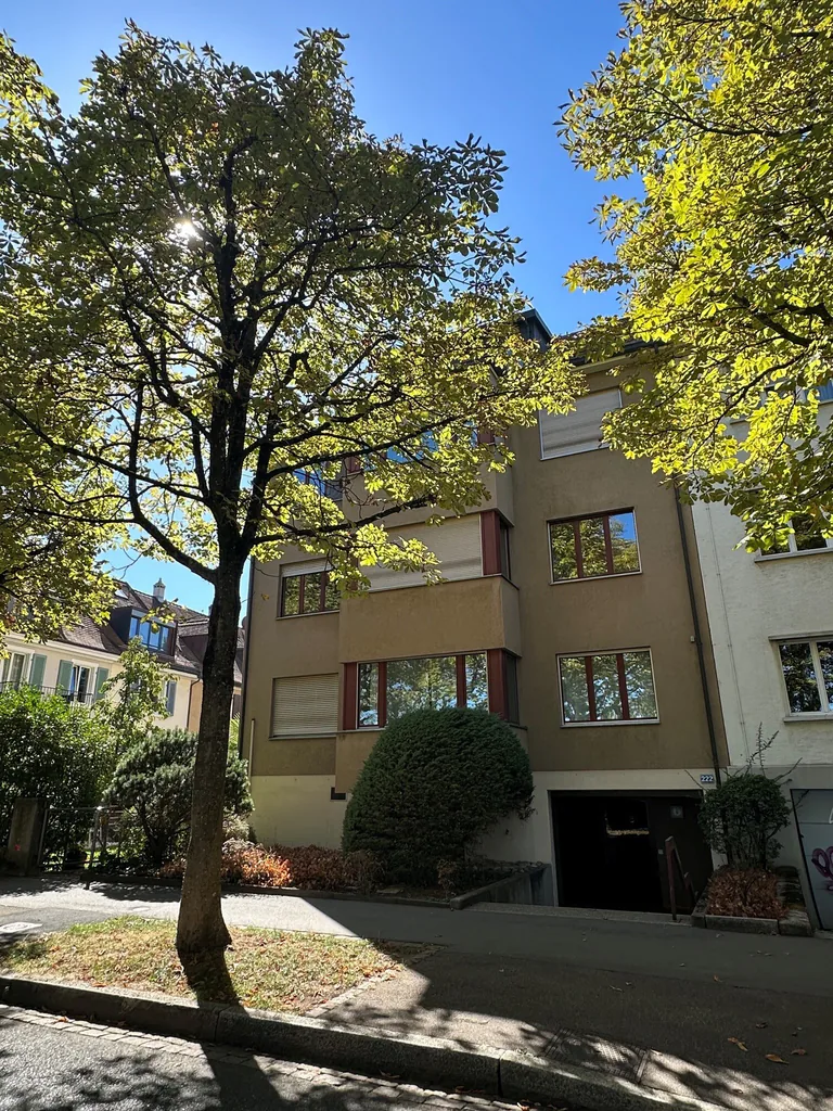 Charmant appartement mansardé avec cheminée et balcon ensoleillé