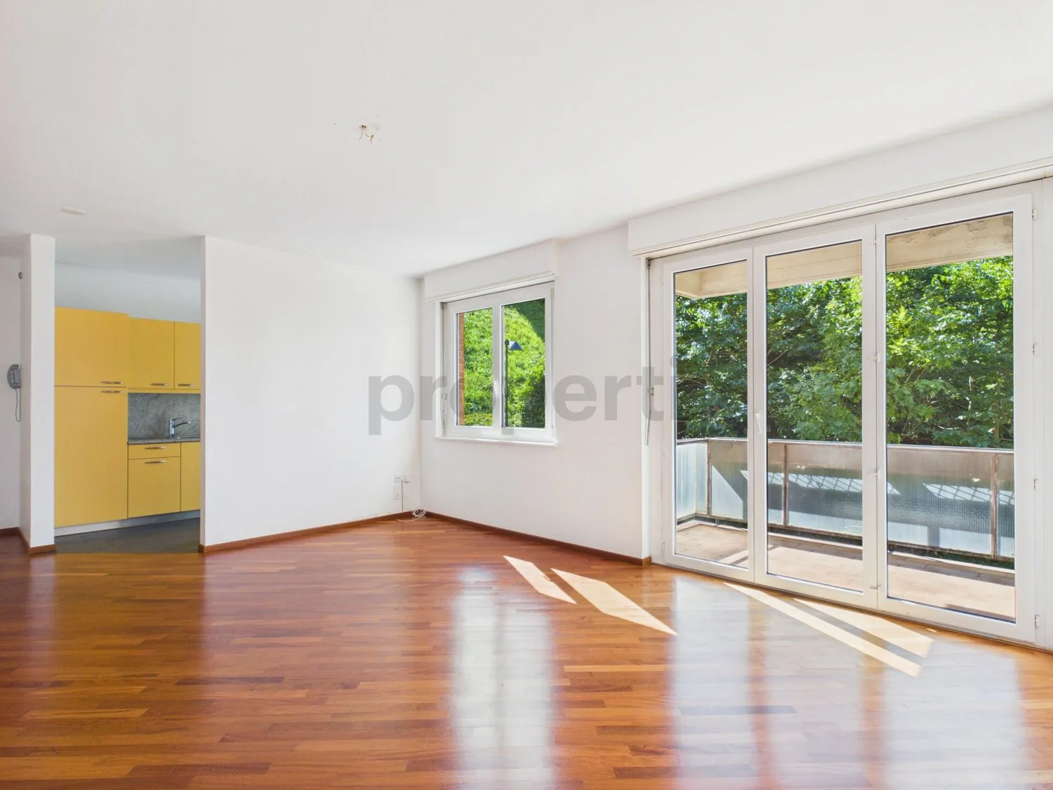 Apartment 2.5 rooms with Lake View, Condominium Pool, and Roof-Top with 360-degree view in Paradiso!