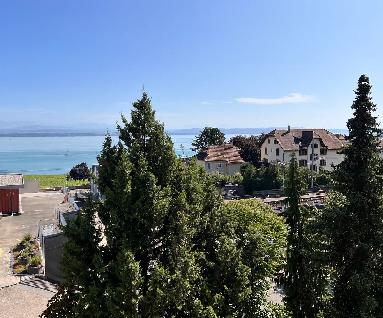 Helles Apartment mit Blick auf den See und die Alpen