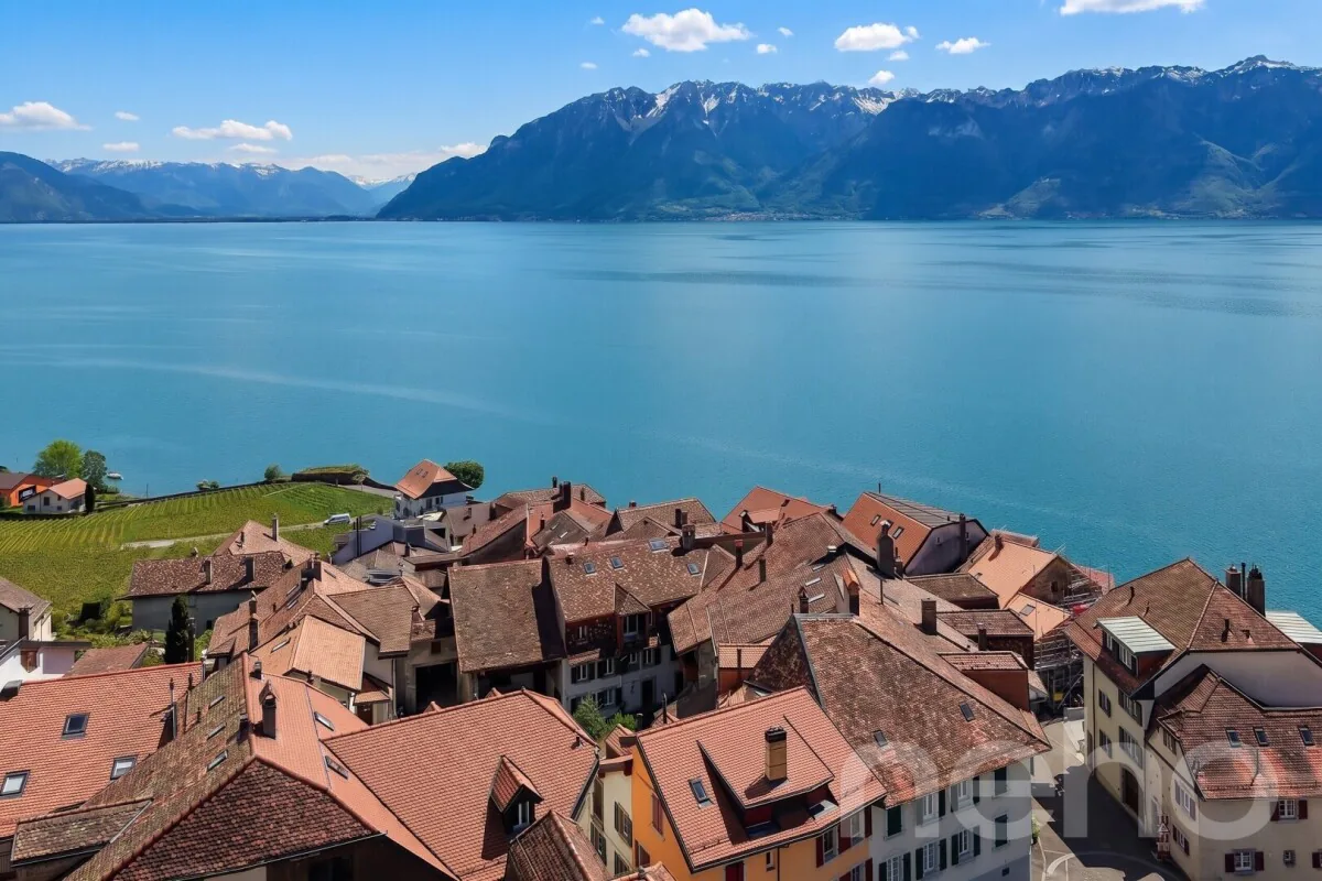 Au c?ur de Rivaz: Maison vigneronne rénovée du XVII? ? Vue lac & Alpes