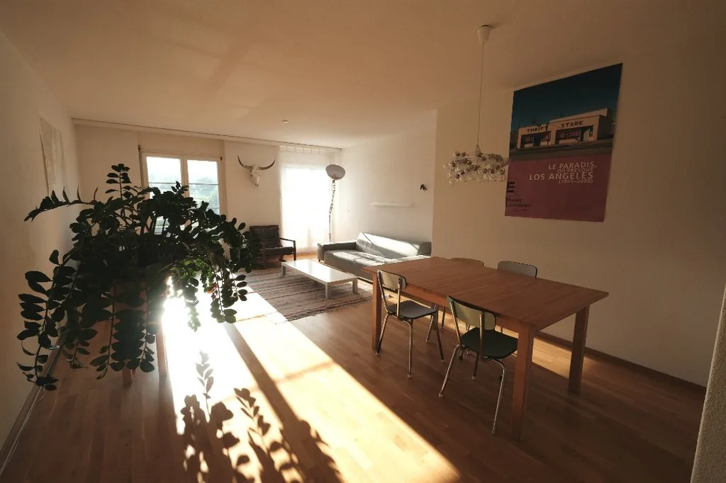 Spacious accommodation in the city center