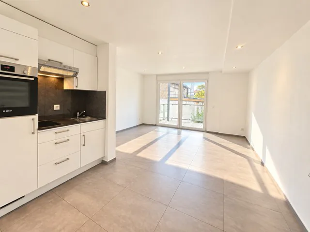 Modern 1-bedroom apartment with balcony in Basel