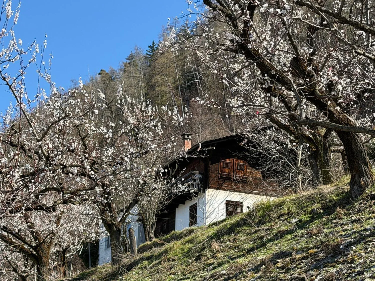 Chalet for renovation for sale in Saxon
