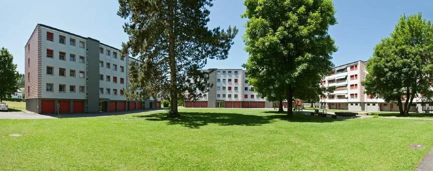 Cozy apartment for rent