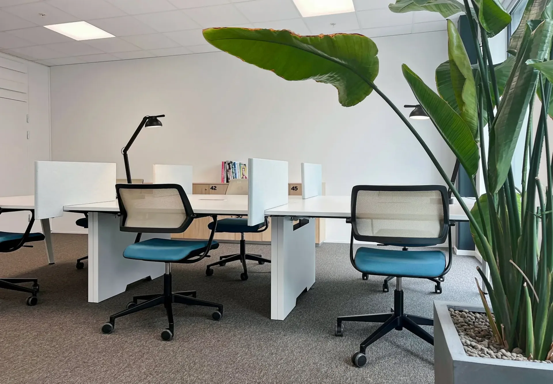 Spazio ufficio privato per 15 in Regus Heuwaage