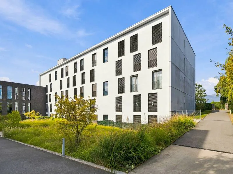 Bel appartement - Meyrin