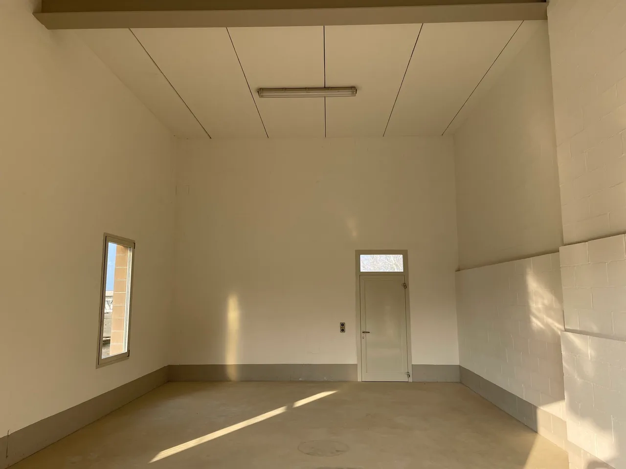 Commercial Space in Genestrerio