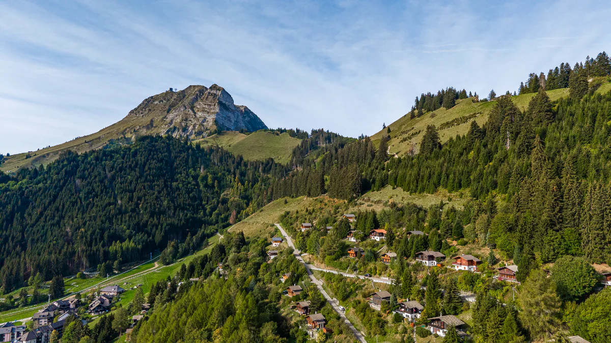 Une parenthèse de tranquillité en lisière de forêt et au pied du