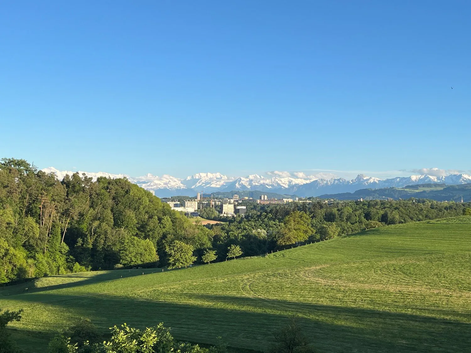Une maison. Beaucoup de verdure. Une vue qui reste.