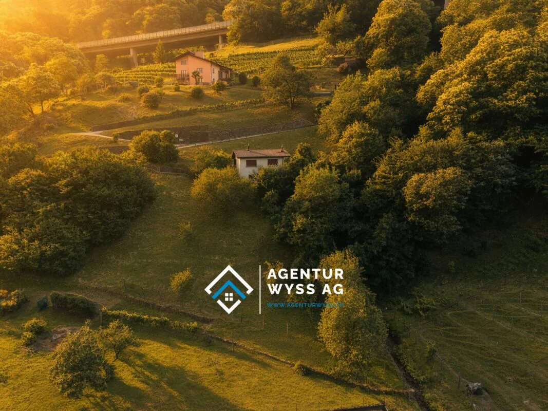 Tessiner Wohntraum im Grünen