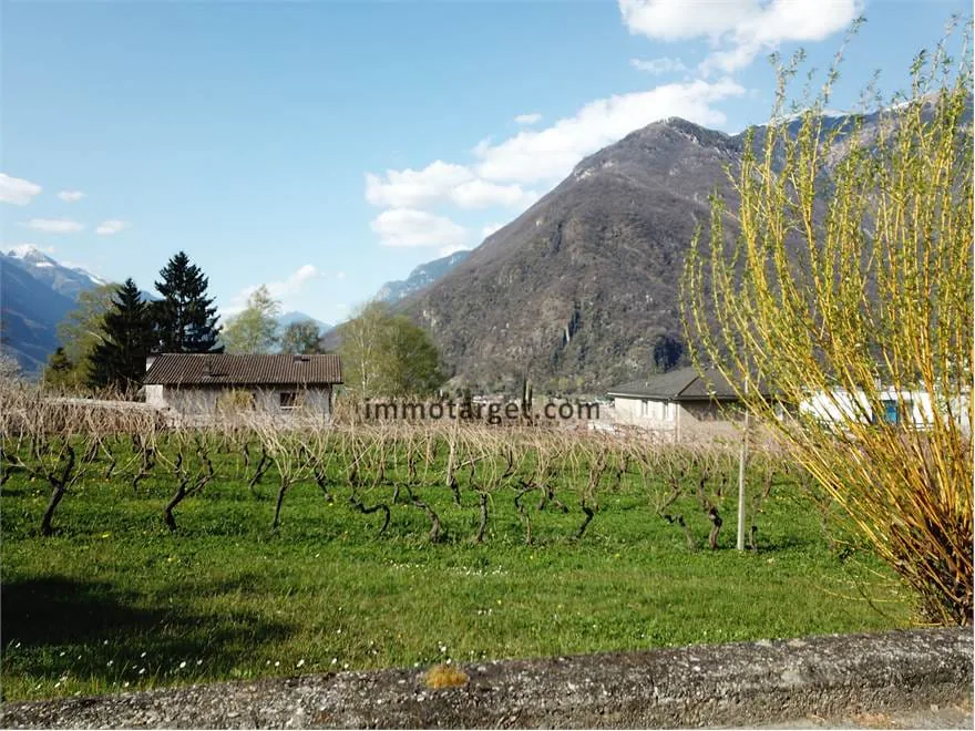 Terrain constructible ensoleillé dans un quartier calme à Arbedo
