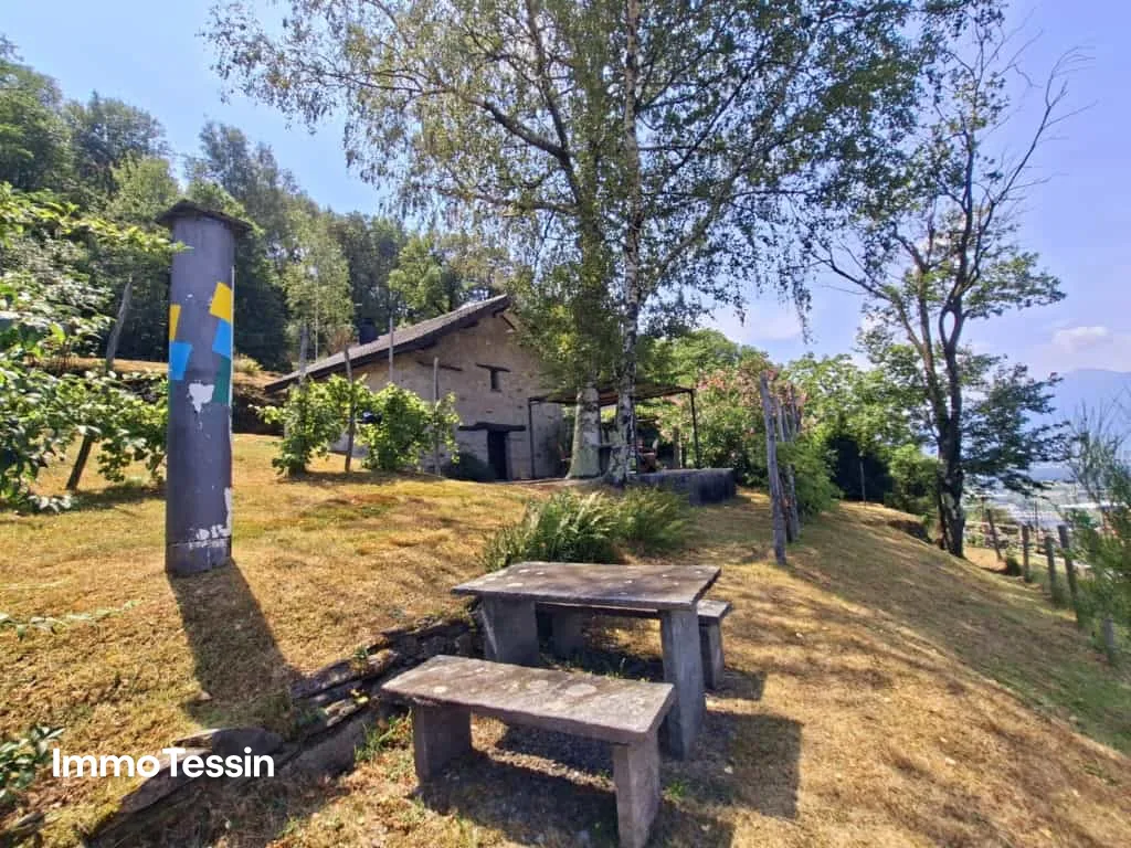 UNIQUE: Property with two rusticos and separate studio in panoramic location with far-reaching views and huge plot