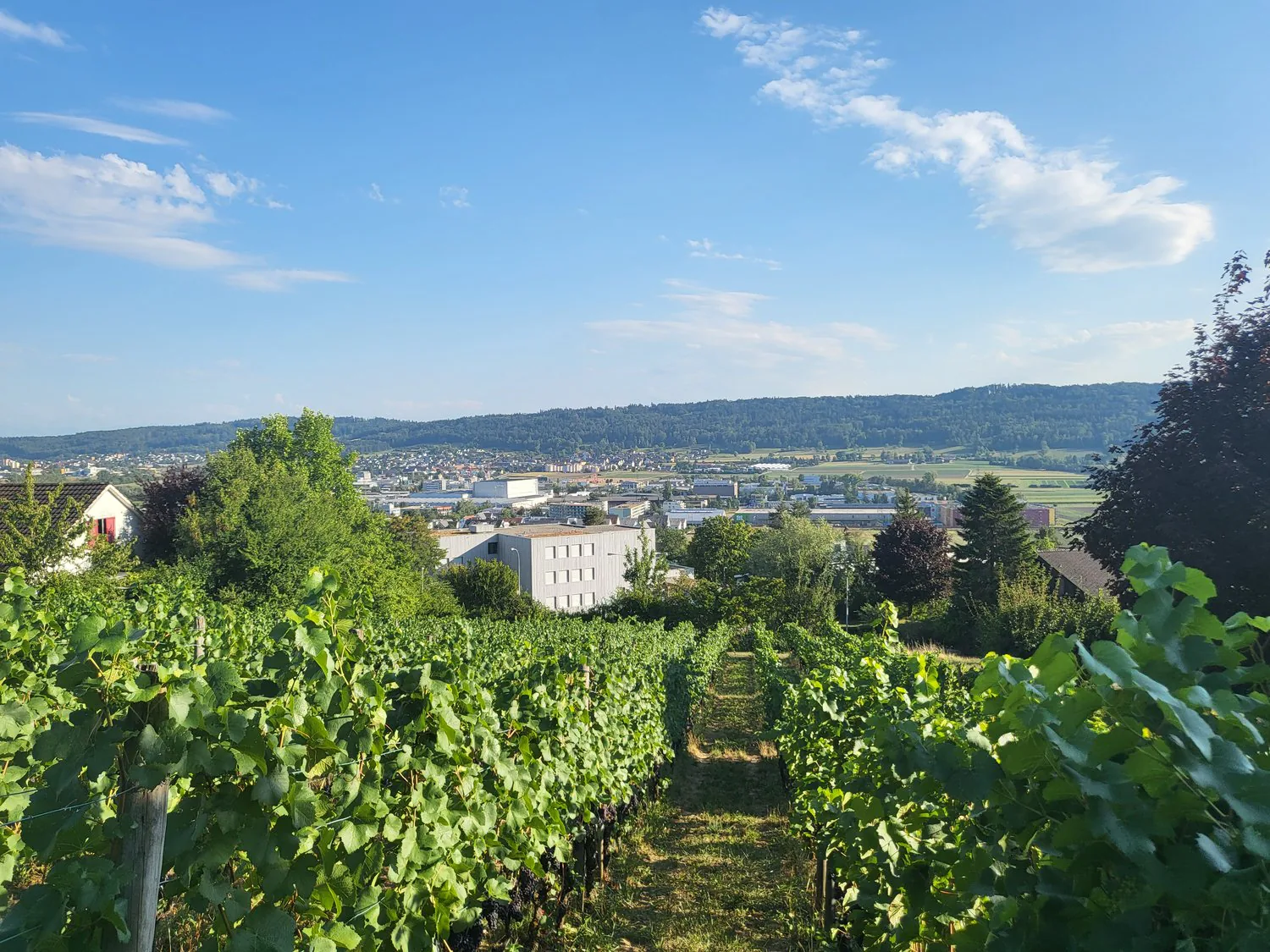 Terreno residenziale esclusivo con vista panoramica nella comunità ...