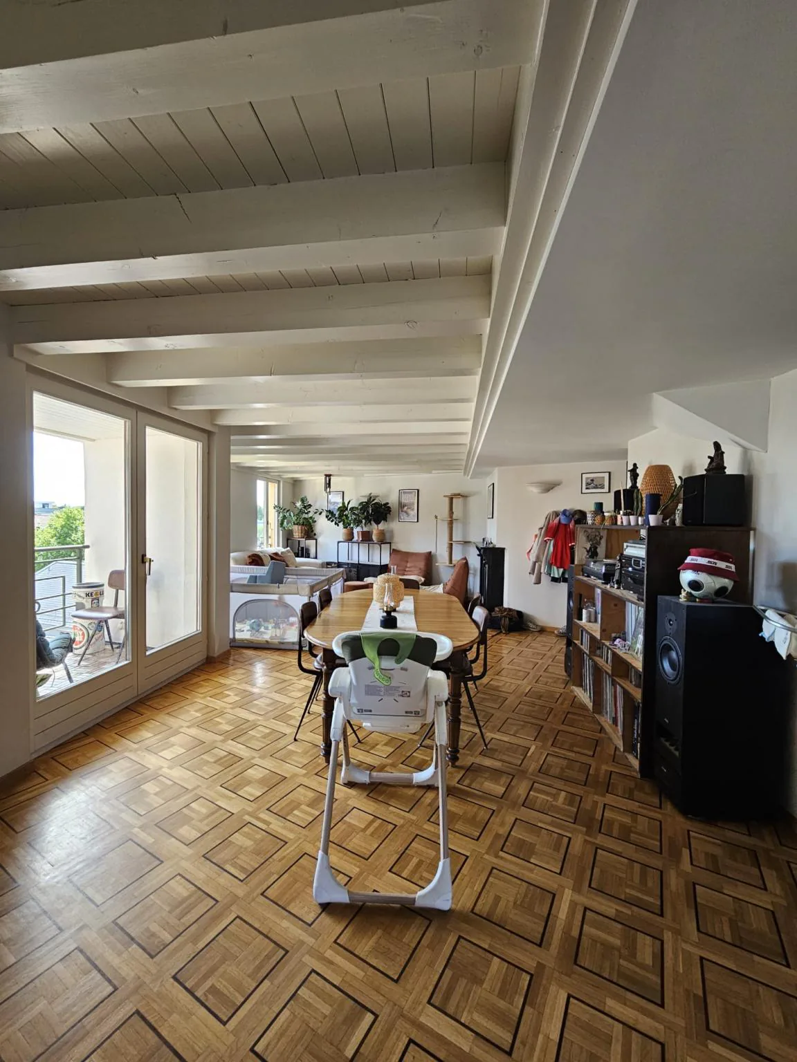 Beautiful 6-room apartment in Chêne-Bourg
