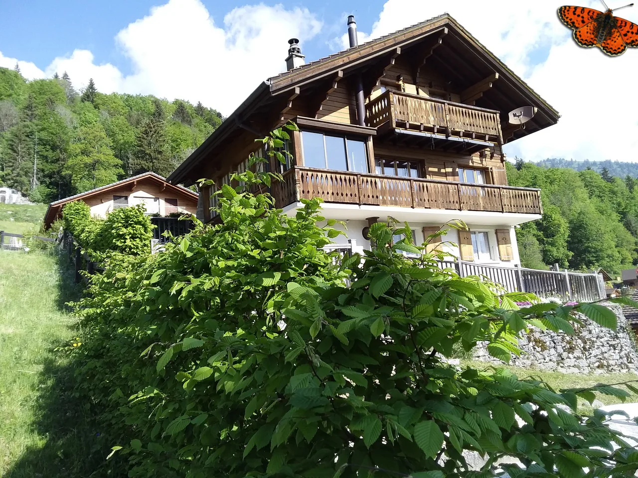 4 ½ Zimmer in Sciernes d'Albeuve in einer malerischen Umgebung!