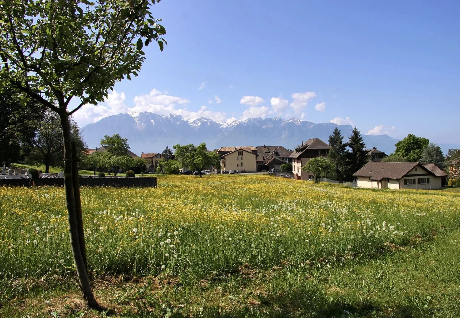 Einfamilienhaus komplett renoviert, mit Blick auf den See