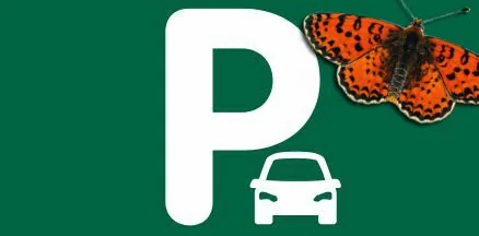 POSTI AUTO ALL'INTERNO IN AFFITTO !