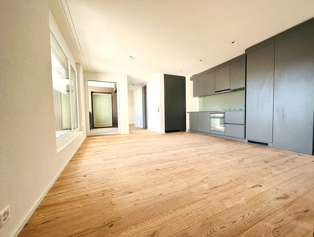 EXCLUSIVE APARTMENT IN BADEN - ONLY 30 MINUTES TO ZURICH MAIN STATION