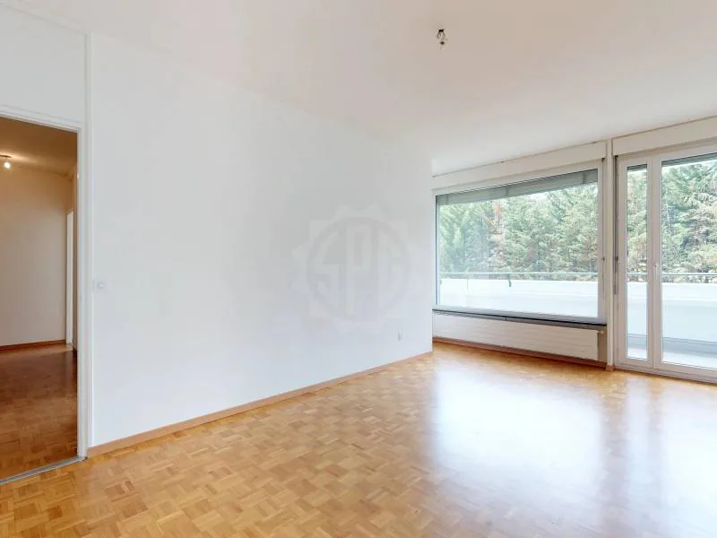 Schönes Apartment - Genf