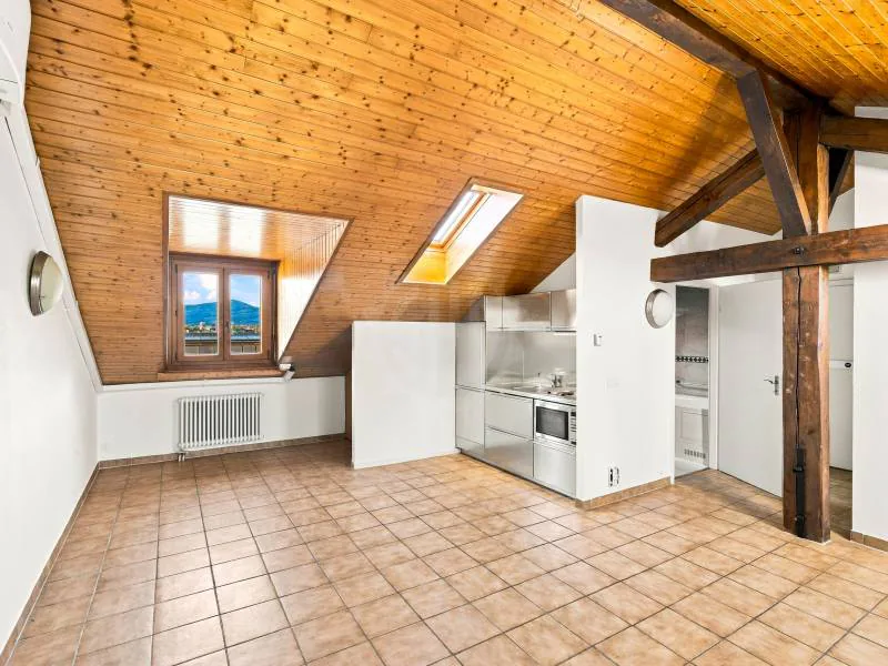 Appartement agréable - Genève