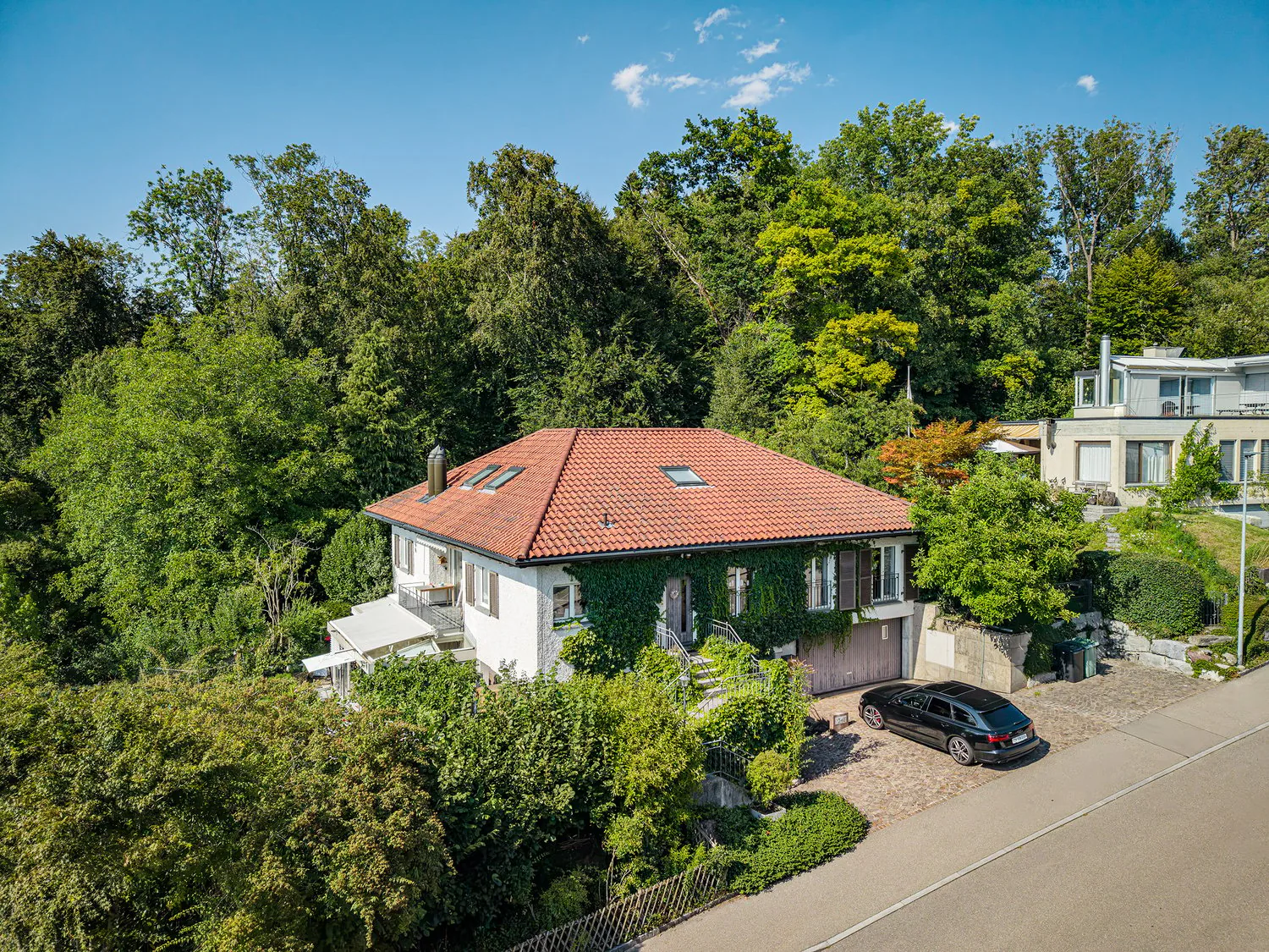 FLÄCHENWUNDER AM WALDRAND IN MEILEN