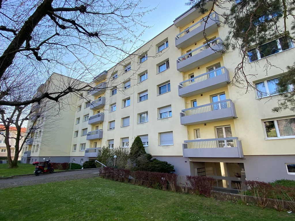 LIVING ON THE ERGOLZ