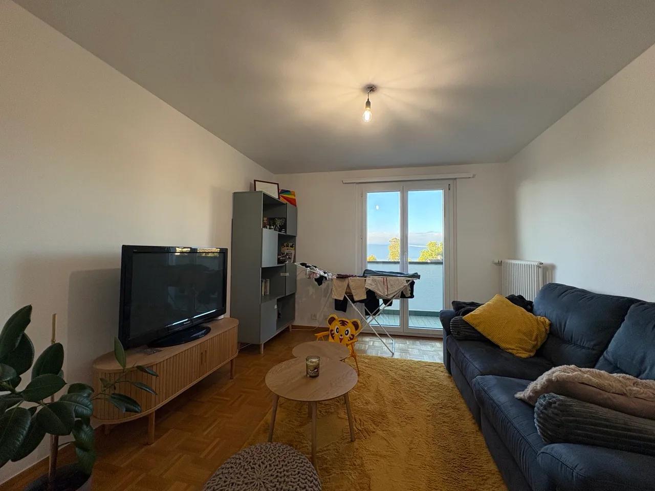 Appartamento di 3.5 locali con vista magnifica sul lago