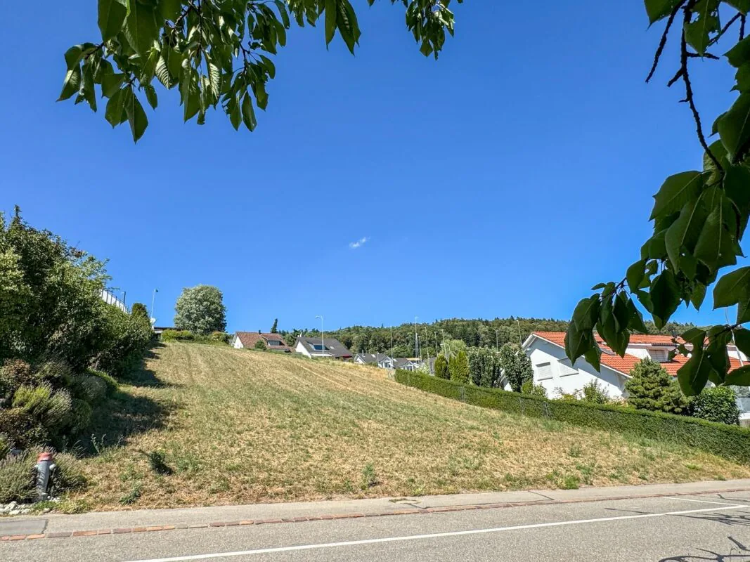 Terreno edificabile in posizione top con vista a Buchs ZH