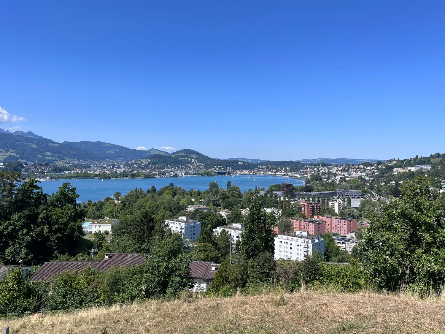 Well-maintained 2.5-room apartment in the Würzenbach quarter