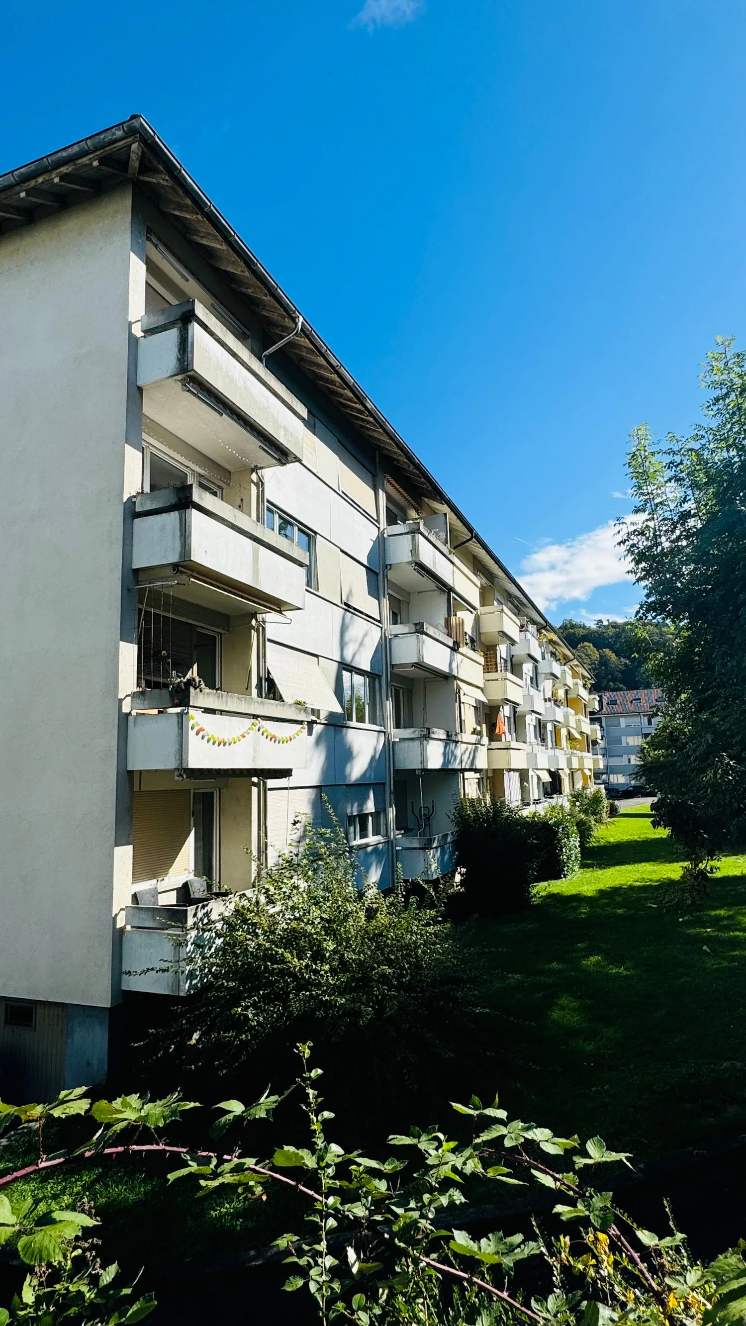 Charmante 3.5-Zimmerwohnung sucht Sie!