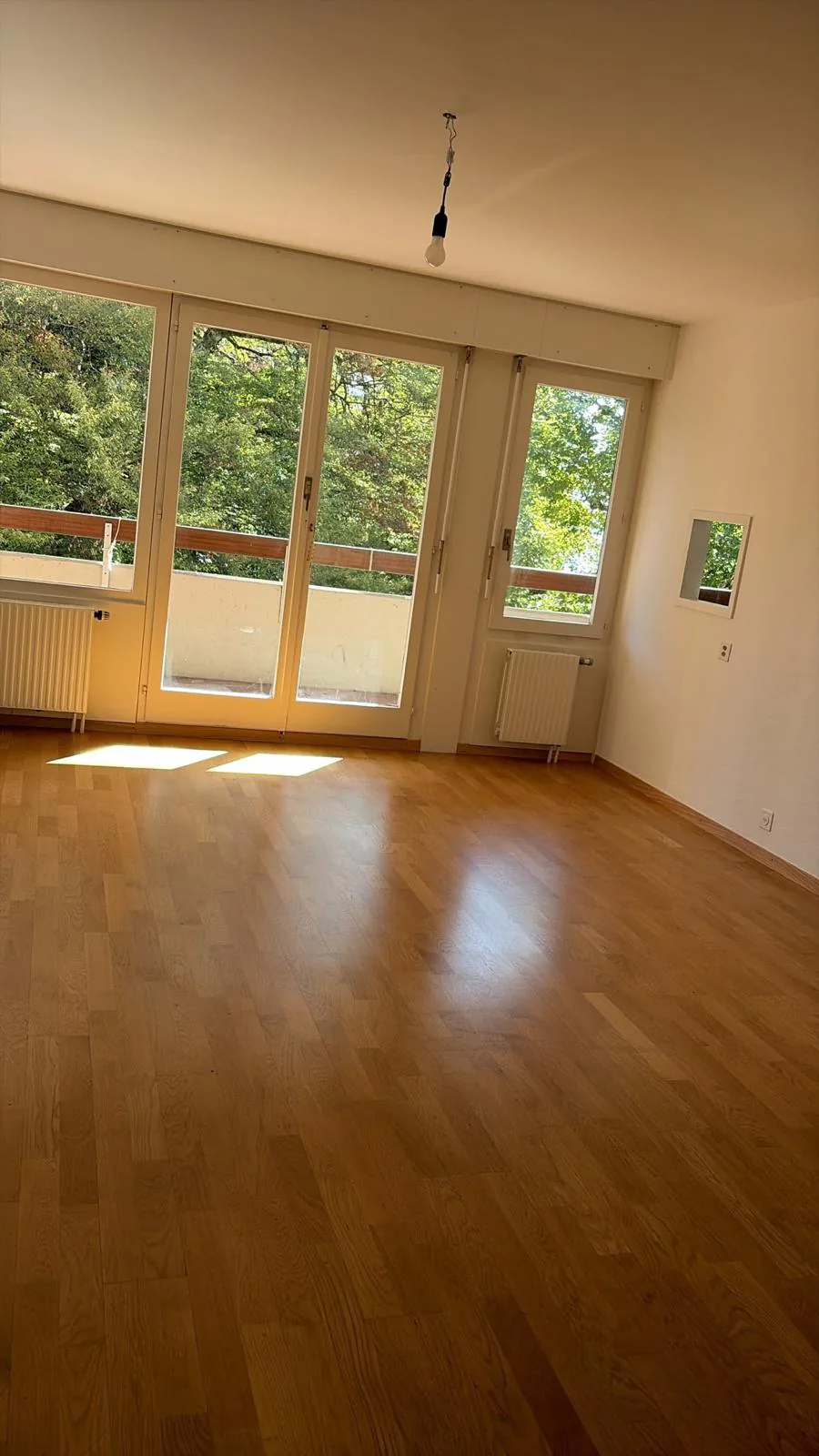 Appartamento di 3 locali con balcone a Coppet – disponibile immediatamente