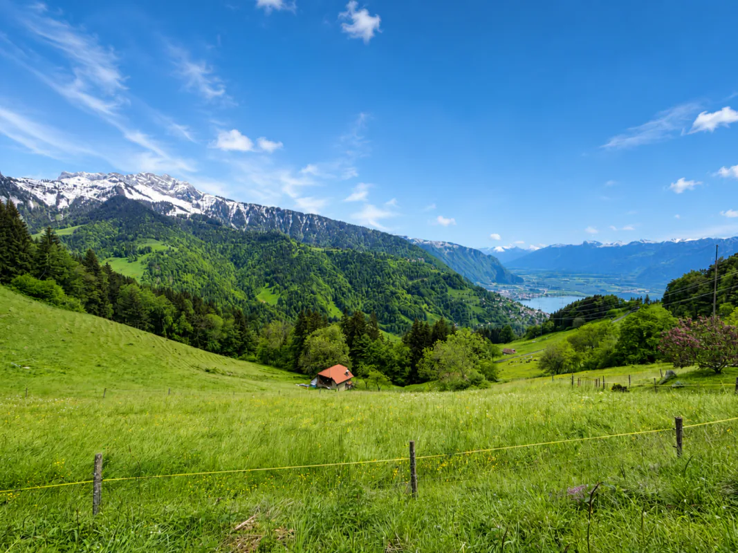 Montreux - Reihenchalet im Herzen der Narzissen