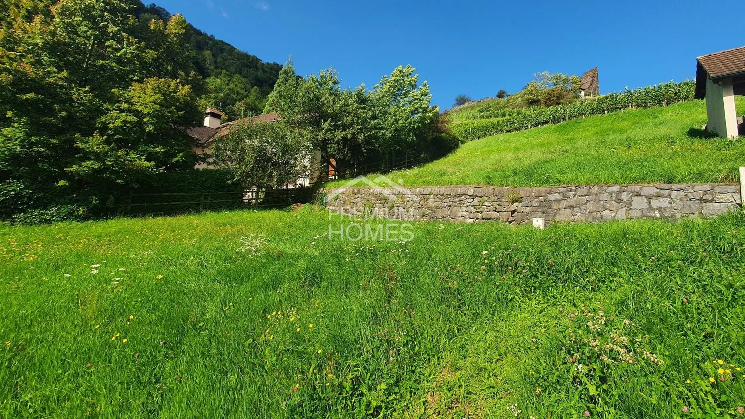 Terrain attractif pour les grands visionnaires