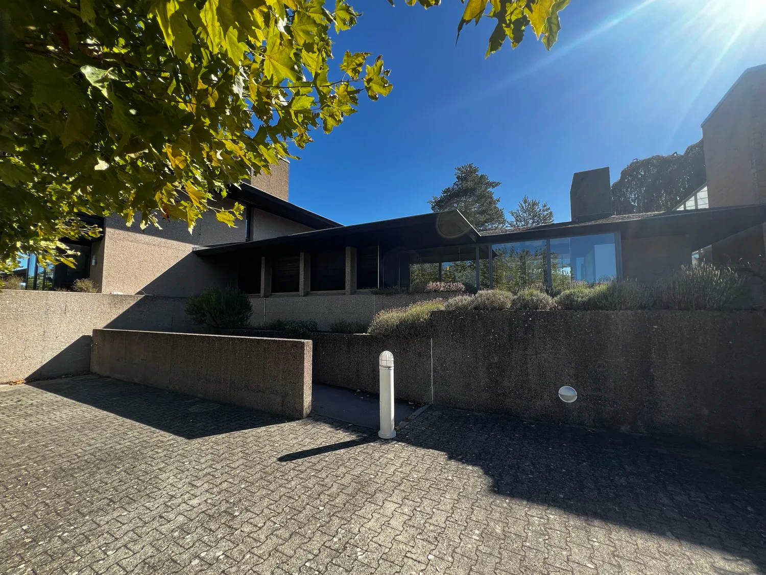 Espace commercial à louer à Aarau