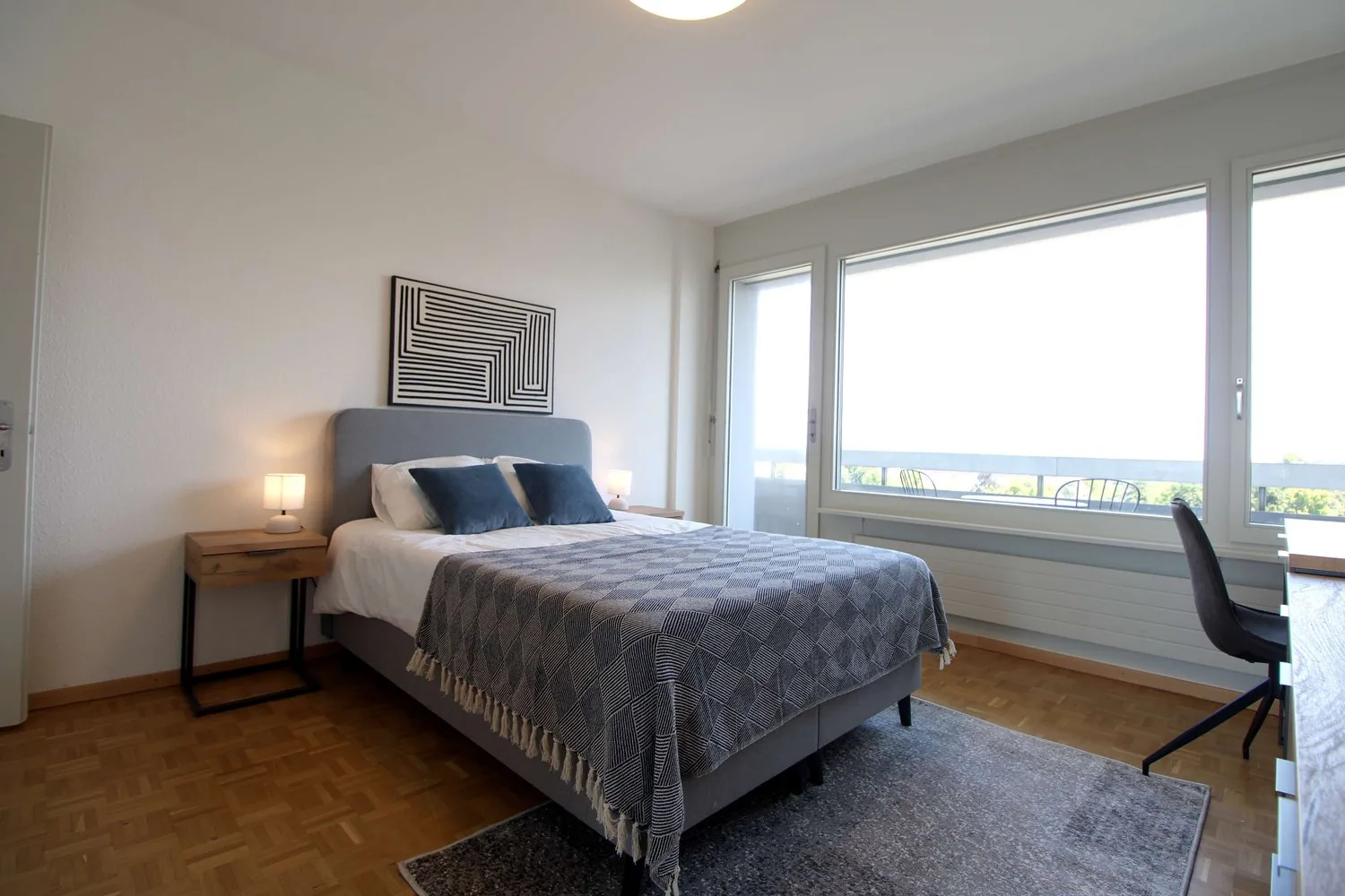 Spacious Coliving with International Connections in Le Grand-Saconnex