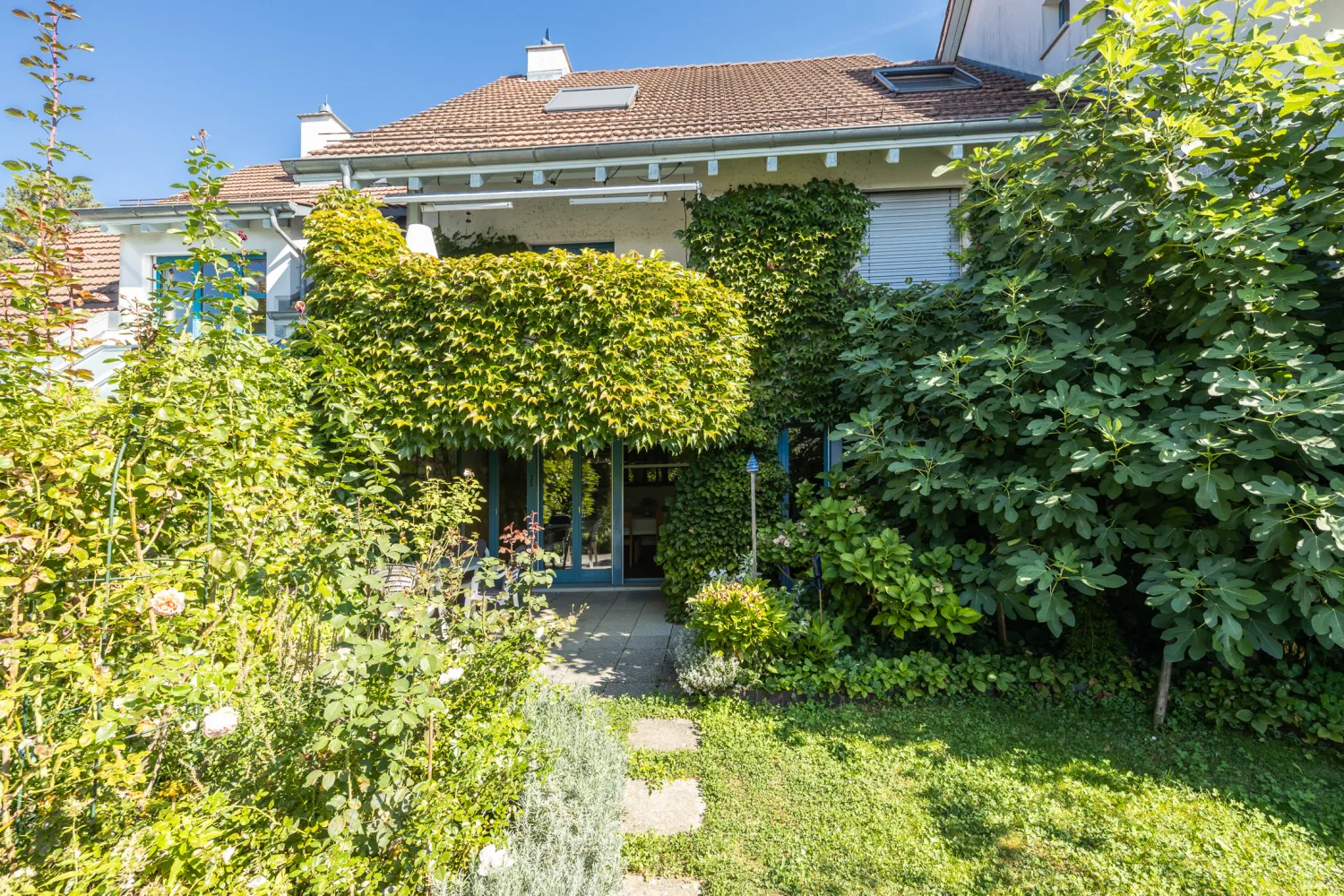 Notre oasis verte