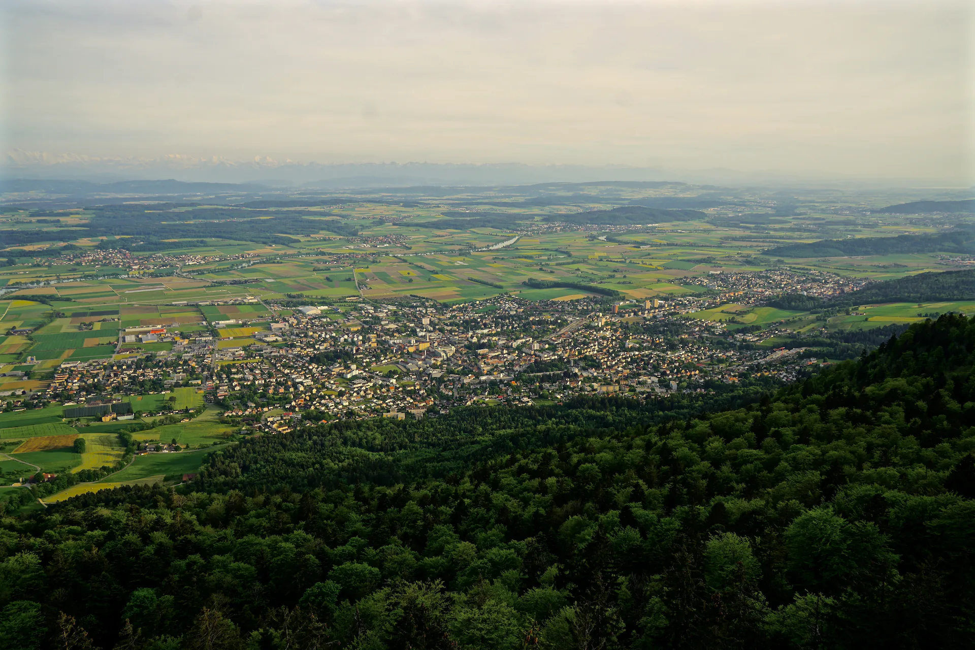 Lebern