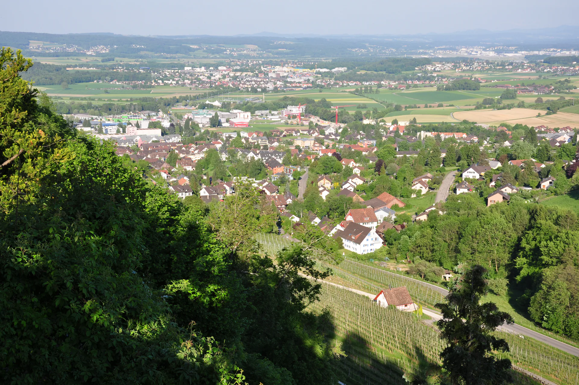 Dielsdorf