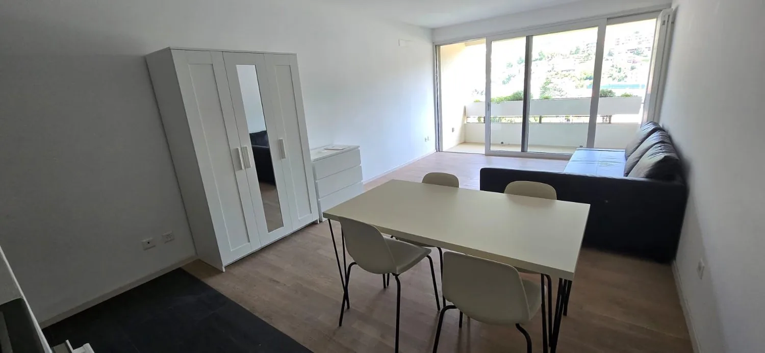 Furnished attic in Chiasso city center, available from January