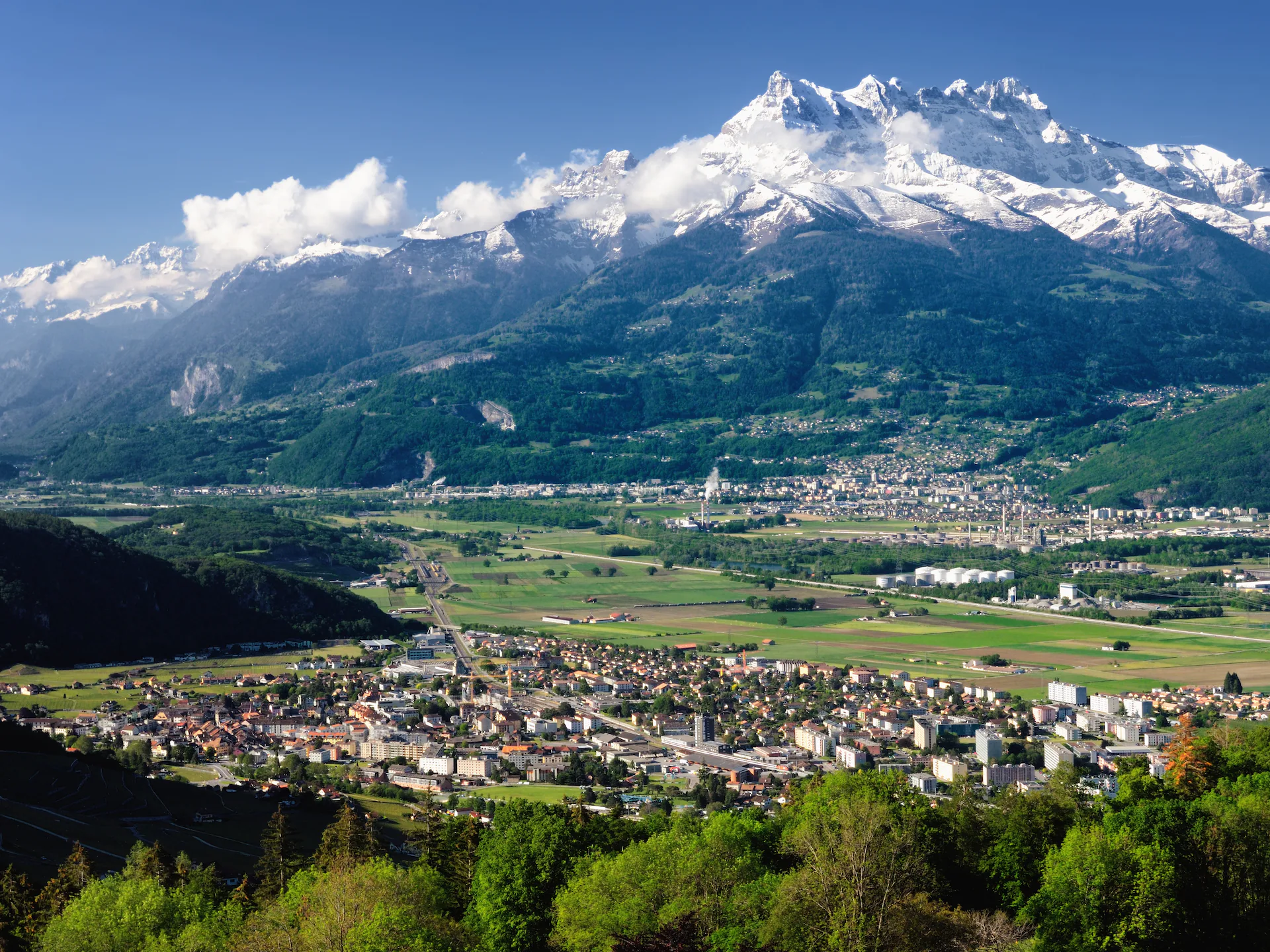 Aigle