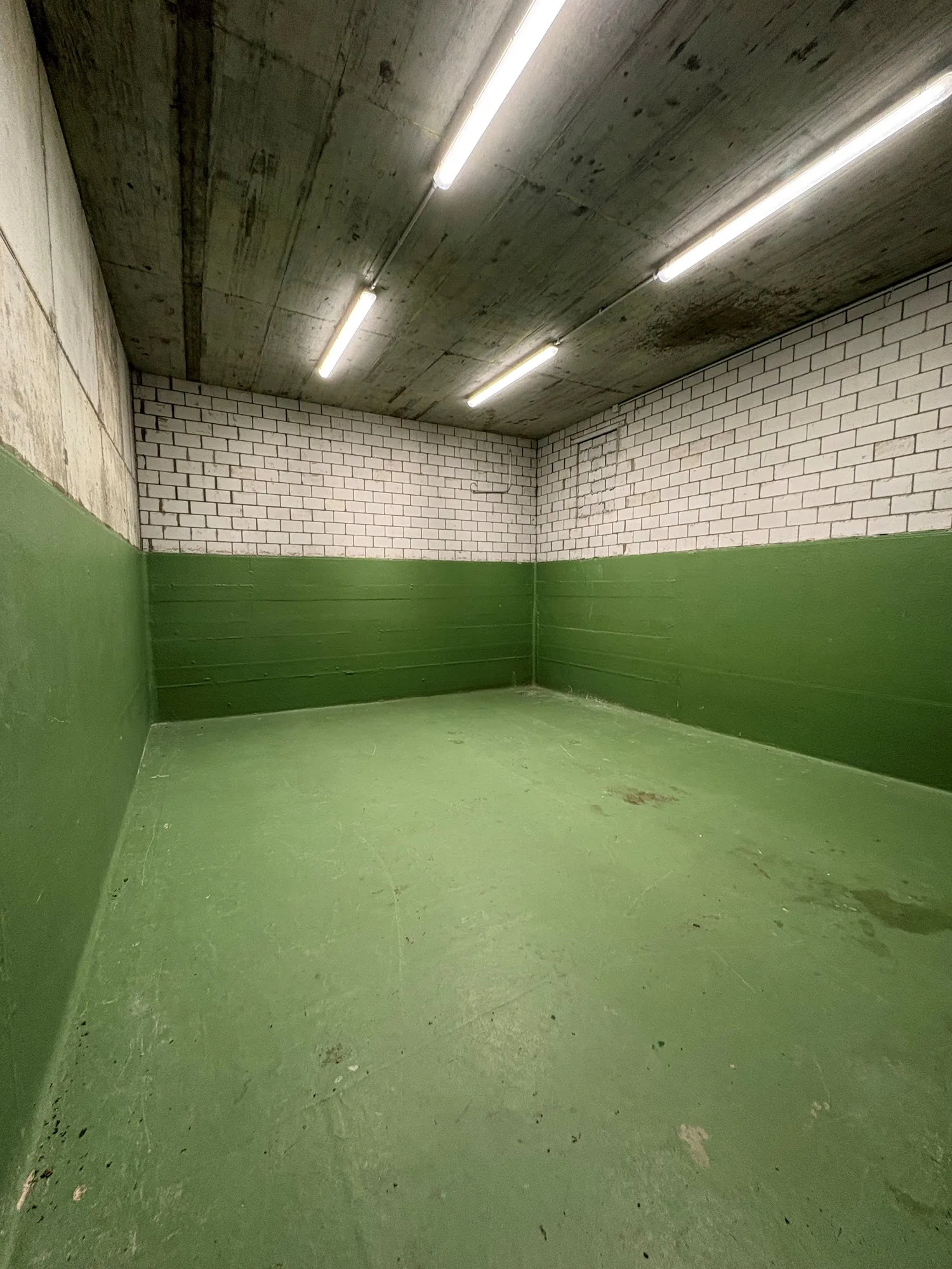 Vielseitig nutzbarer Hobby-, Bastel- oder Lagerraum mit 33 m²