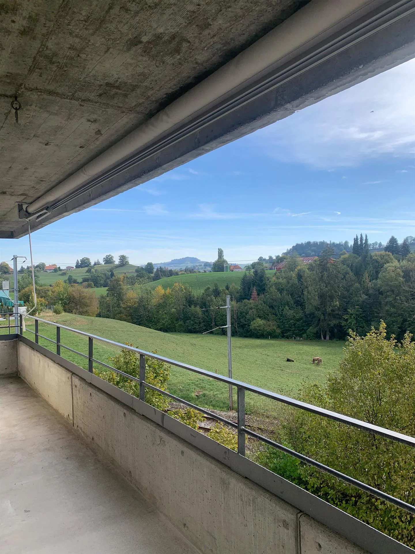 Modern living in a green environment: First occupancy after renovation