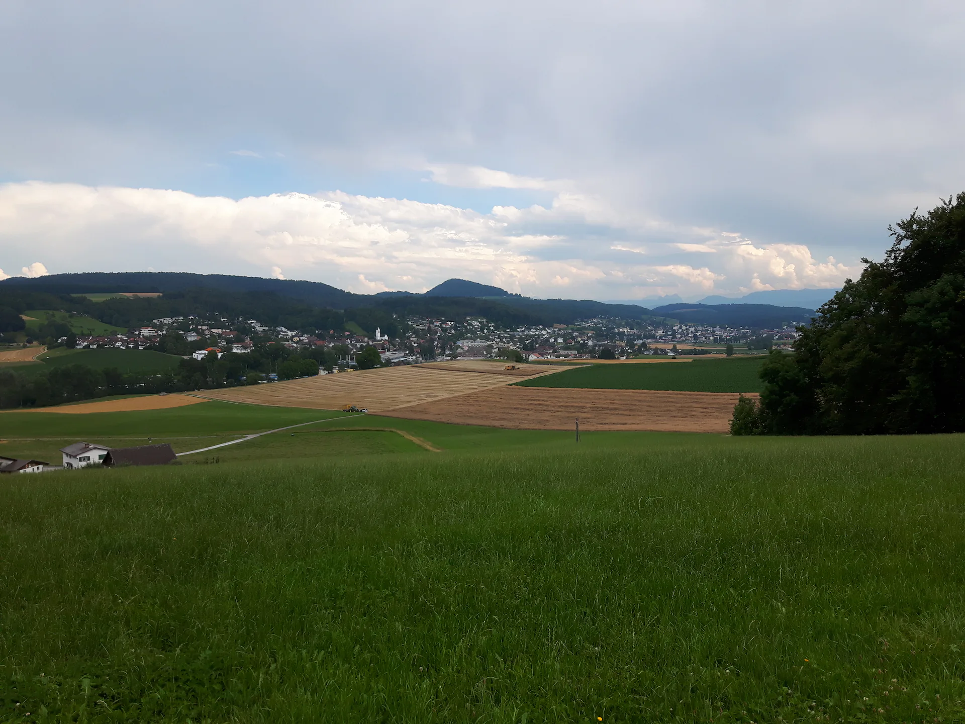 Hedingen